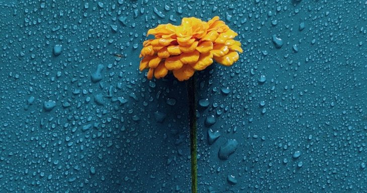 День ангела 29 квітня: кого та як вітати з іменинами