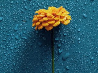 День ангела 29 квітня: кого та як вітати з іменинами