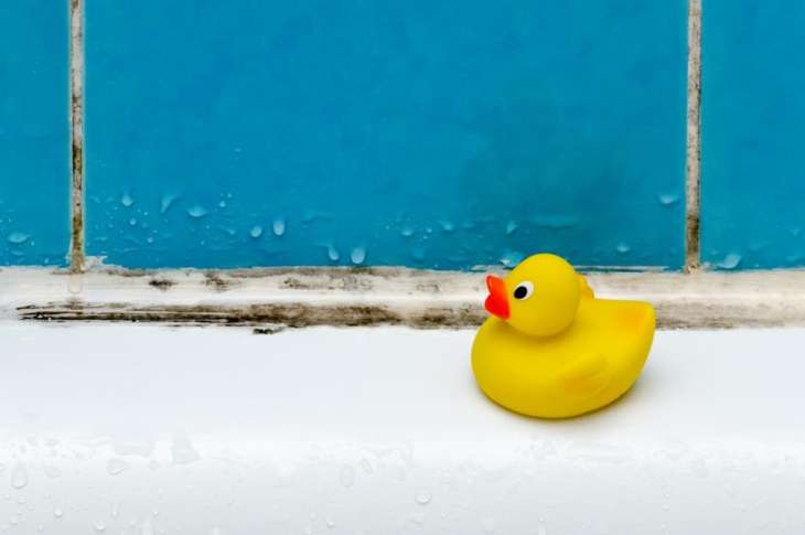 Как очистить ванну от застарелого налета и ржавчины: метод клининговых компаний