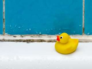 Как очистить ванну от застарелого налета и ржавчины: метод клининговых компаний