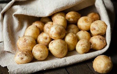 Медики рассказали, кому вредно для здоровья есть молодой картофель