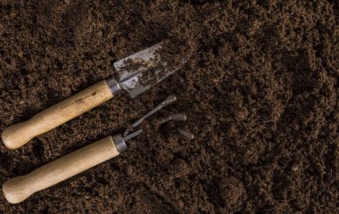 Агроном пояснив, як зрозуміти, що земля відпочила і готова до садіння культур: найголовніші ознаки