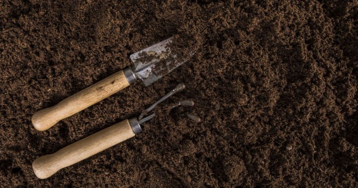 Агроном пояснив, як зрозуміти, що земля відпочила і готова до садіння культур: найголовніші ознаки