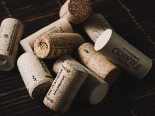 Не викидайте винні корки: навіщо їх кладуть у горщики з кімнатними рослинами