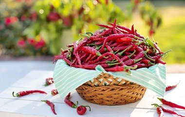 Чи корисний перець в умовах пандемії