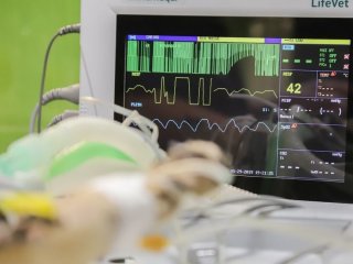 Серце не билося два дні: чоловіка дивом повернули до життя