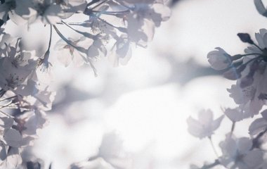 День ангела 6 квітня: кого та як вітати з іменинами