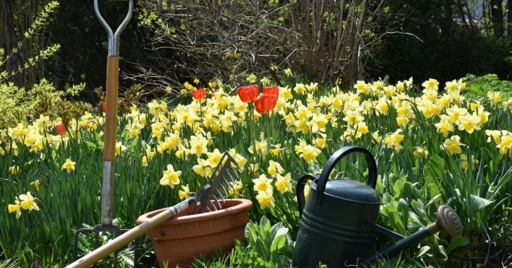 Місячний посівний календар на травень 2026 року: коли сіяти овочі, щоб отримати багатий урожай