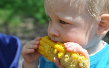 Потенційна небезпека: як не отруїтися кукурудзою на пляжі