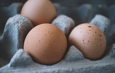 Скільки насправді можна зберігати яйця в холодильнику: ви могли припуститися цієї помилки