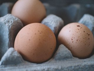 Скільки насправді можна зберігати яйця в холодильнику: ви могли припуститися цієї помилки