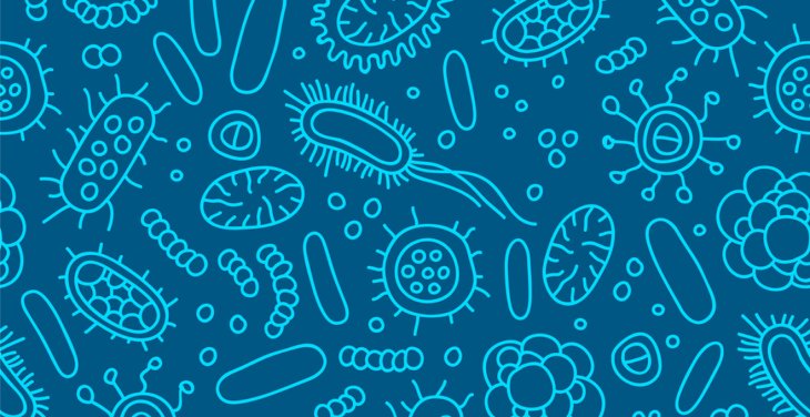 Медики назвали головний фактор, який руйнує імунітет