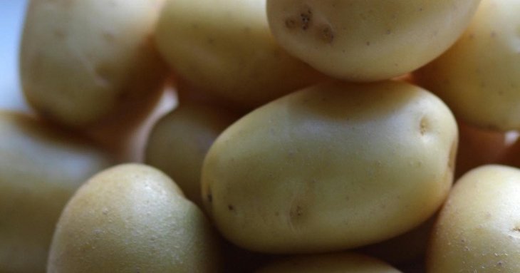 Перша молода картопля з кропом: одна помилка на кухні, через яку страва стає водянистою та втрачає смак