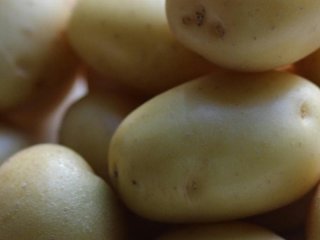 Перша молода картопля з кропом: одна помилка на кухні, через яку страва стає водянистою та втрачає смак