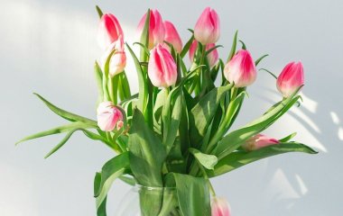 Що потрібно зробити, щоб квіти довше стояли: перевірили, які лайфгаки з Мережі дійсно працюють