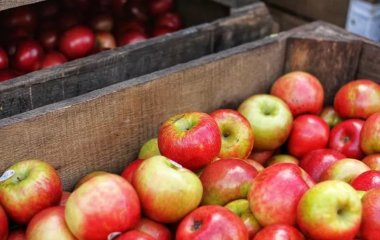 Які продукти врятують від підвищеного тиску