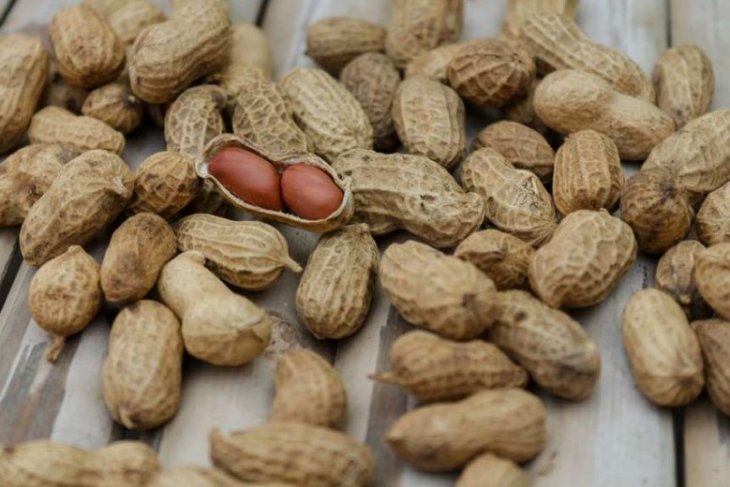 Ученые назвали продукт для снижения давления и эффективной защиты сердца от болезней
