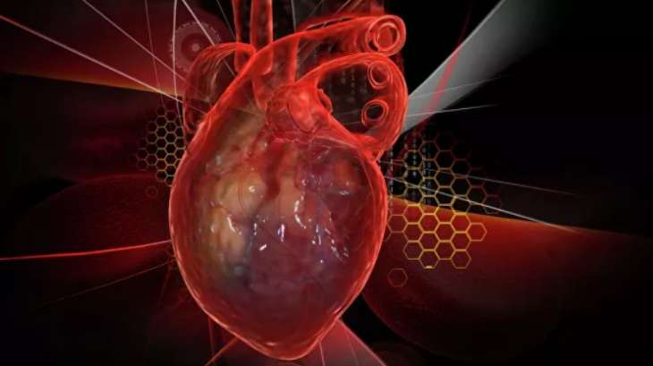 Найден способ полностью восстановить сердце после инфаркта