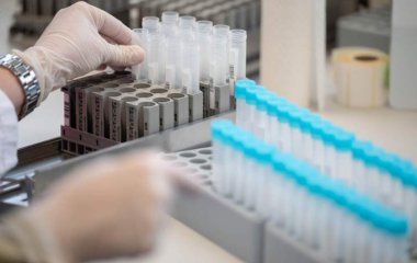 Вірусологи оцінили версію про штучне походження «Омікрона»