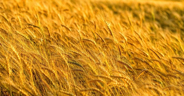 День ангела 4 вересня: кого та як вітати з іменинами