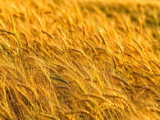 День ангела 4 вересня: кого та як вітати з іменинами
