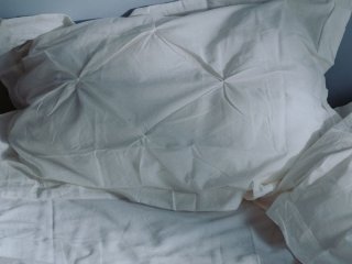 Не поспішайте прати: як легко почистити великі подушки й ковдри та повернути їм свіжість за кілька хвилин
