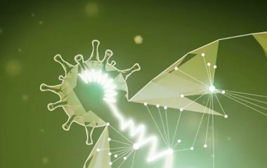Виявлено здатність нових штамів коронавірусу ухилятися від антитіл.
