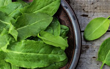 Дієтолог назвала незаслужено забутий продукт для зміцнення імунітету