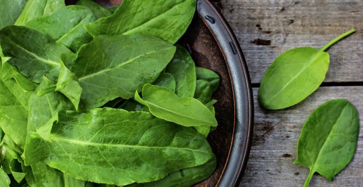 Дієтолог назвала незаслужено забутий продукт для зміцнення імунітету