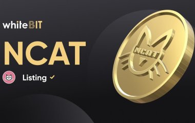 NCAT токен: що це, принцип роботи, ціна