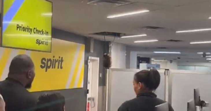 Дика тварина стрибнула зі стелі аеропорту та погналася за наляканими туристами: хто це був (відео)