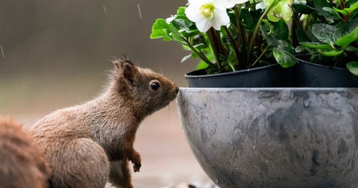 День ангела 27 квітня: кого та як вітати з іменинами