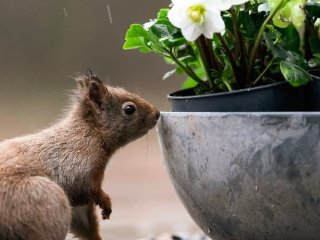 День ангела 27 квітня: кого та як вітати з іменинами