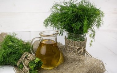 Вчені довели, що кропова вода чистить судини і виведе камені з нирок
