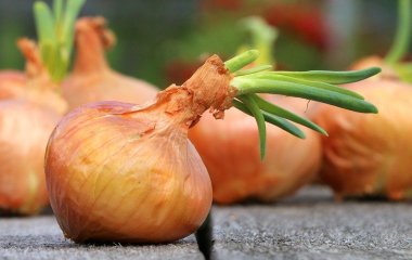 Врач рассказала, кому категорически нельзя есть лук