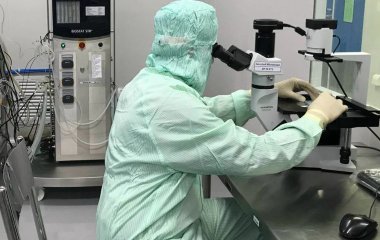Вчені з'ясували, як коронавірус пригнічує клітинний 