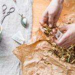 Стало известно, какие продукты быстро очистят организм курильщика от токсинов