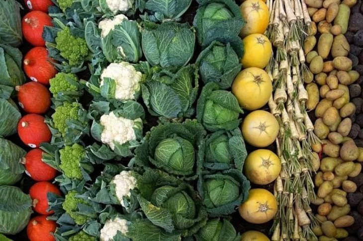 7 продуктів, які виправлять ваше здоров'я, не спустошуючи при цьому ваш гаманець