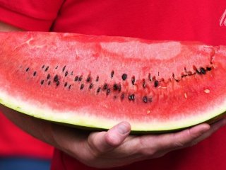 Чи можна вже купувати кавуни: експерти пояснили, як вибрати безпечний фрукт і не отруїтись