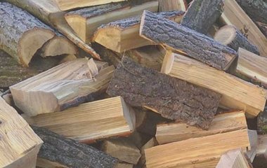 Скільки дров можна виписати на одну людину: особливості та правила  