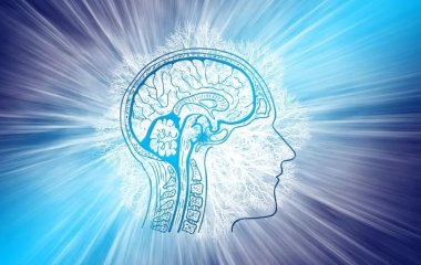 7 простих вправ для стимуляції роботи мозку
