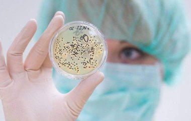Вчений передбачив зростання стійкості бактерій до антибіотиків