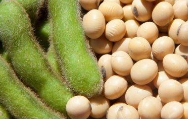 Японський медик назвав продукт, що допомагає відстрочити деменцію.