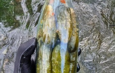 Мисливиця за скарбами знайшла в річці вікторіанську 