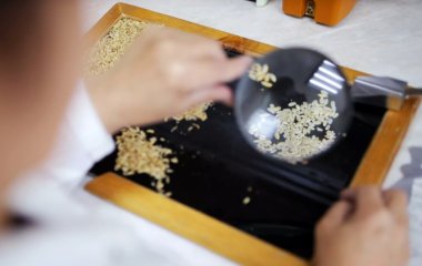 Вчені з'ясували, які зернові продукти підвищують ризик смерті