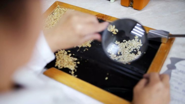 Вчені з'ясували, які зернові продукти підвищують ризик смерті