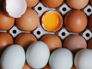 Яєчні білки чи цілі яйця: дієтологи пояснили, що насправді корисніше