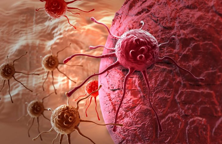 Ученые обнаружили вещество, предотвращающее распространение метастаз рака