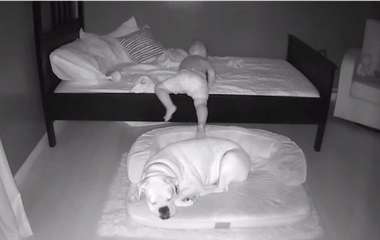Сети покорила малыш, который не смог уснуть без собаки (ВИДЕО)