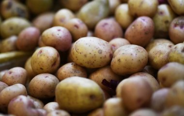 Дієтолог розповів, кому не можна їсти картопля
